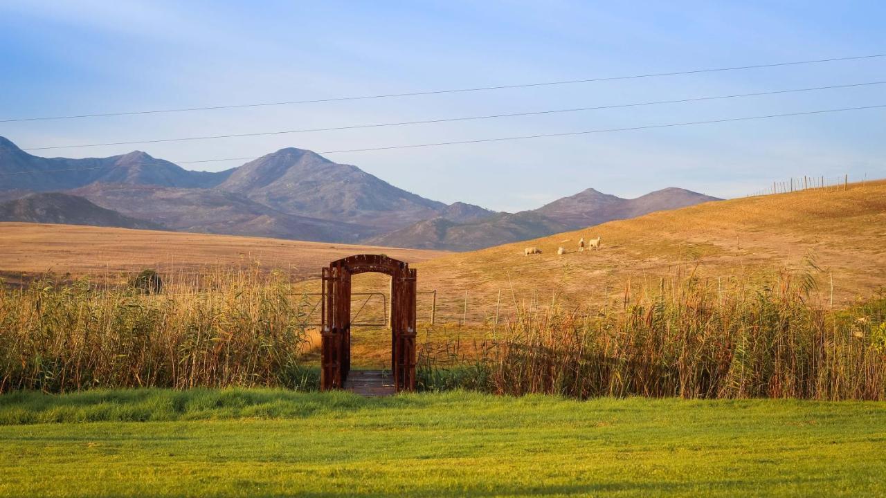 Endless Vineyards At Wildekrans Wine Estate Guest House Botrivier Exterior foto