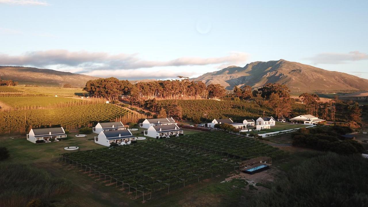 Endless Vineyards At Wildekrans Wine Estate Guest House Botrivier Exterior foto