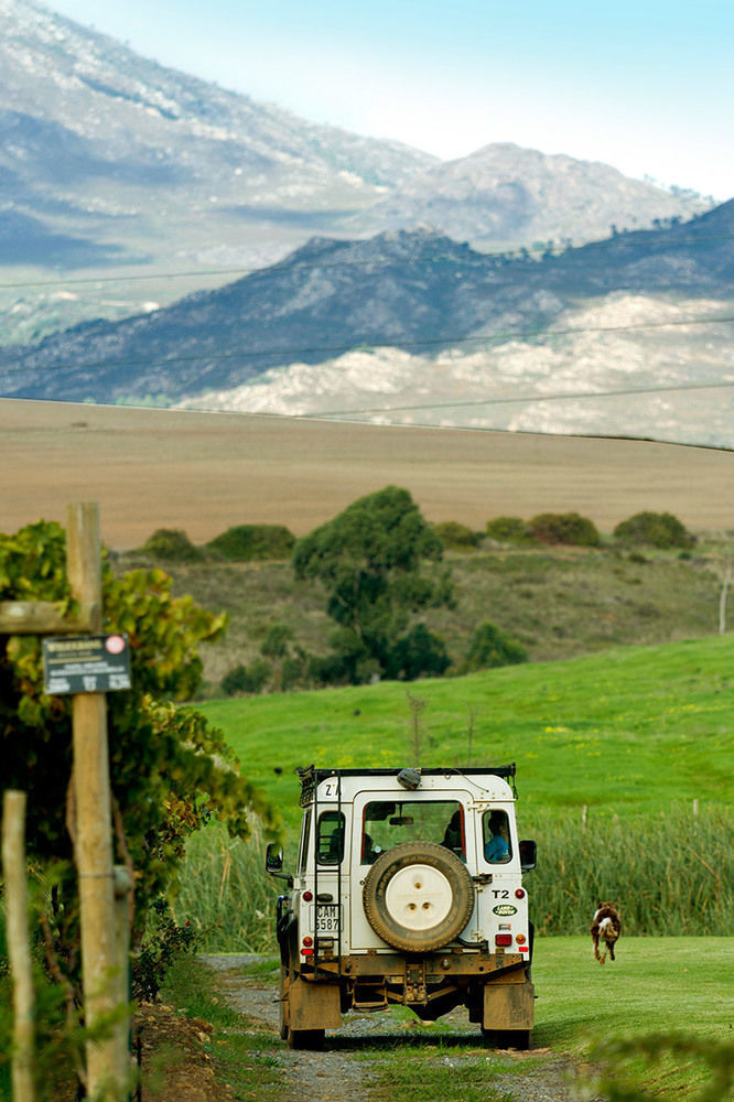 Endless Vineyards At Wildekrans Wine Estate Guest House Botrivier Exterior foto