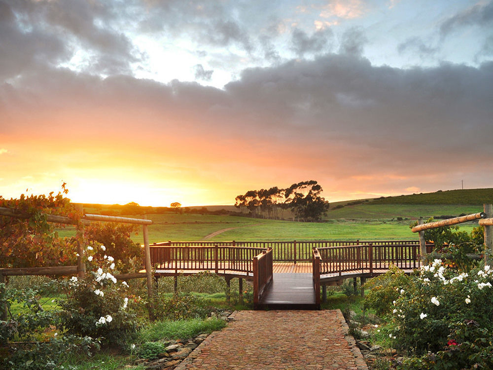 Endless Vineyards At Wildekrans Wine Estate Guest House Botrivier Exterior foto