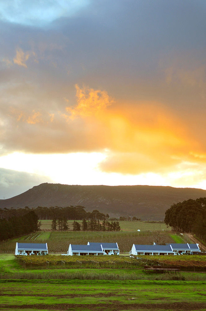 Endless Vineyards At Wildekrans Wine Estate Guest House Botrivier Exterior foto