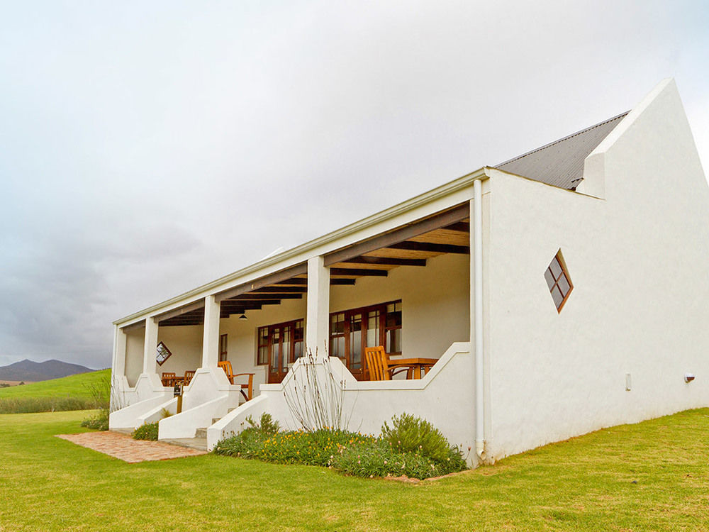 Endless Vineyards At Wildekrans Wine Estate Guest House Botrivier Exterior foto