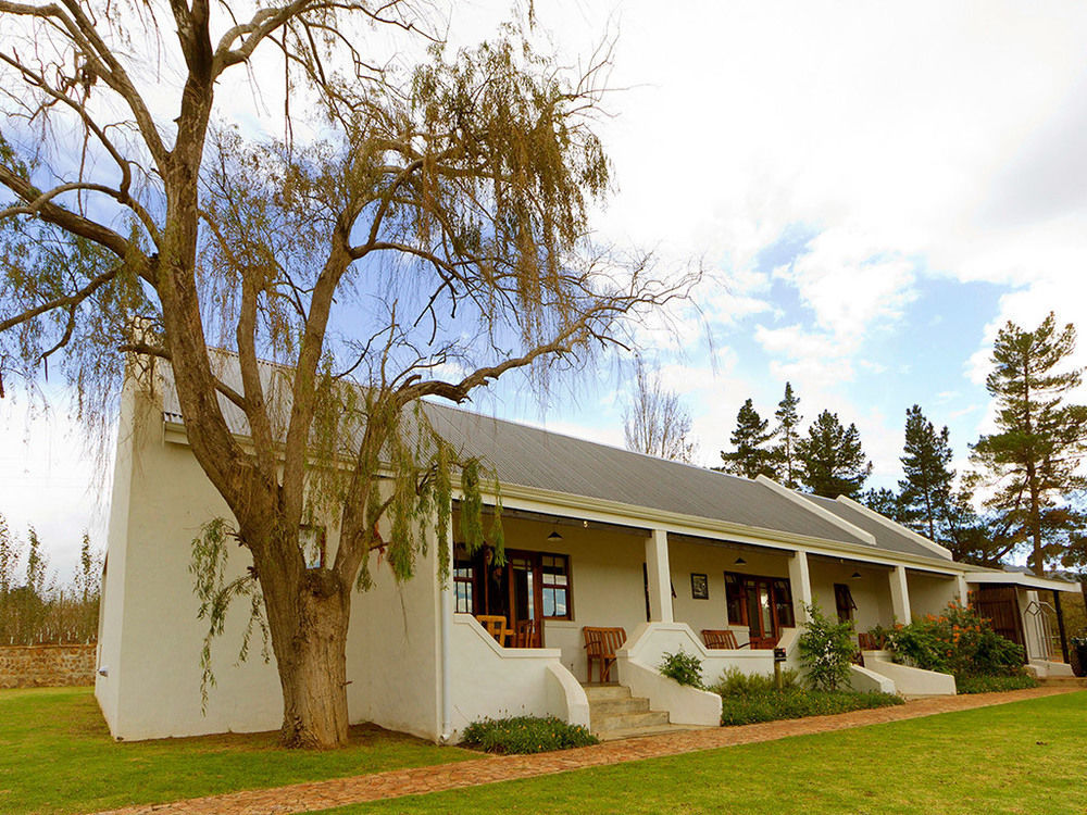 Endless Vineyards At Wildekrans Wine Estate Guest House Botrivier Exterior foto