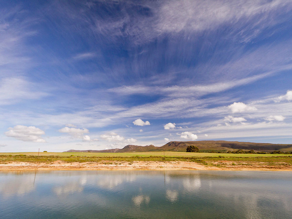 Endless Vineyards At Wildekrans Wine Estate Guest House Botrivier Exterior foto