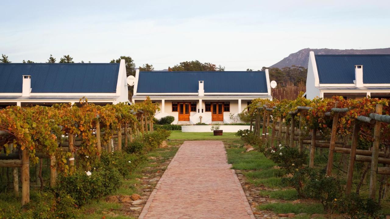 Endless Vineyards At Wildekrans Wine Estate Guest House Botrivier Exterior foto
